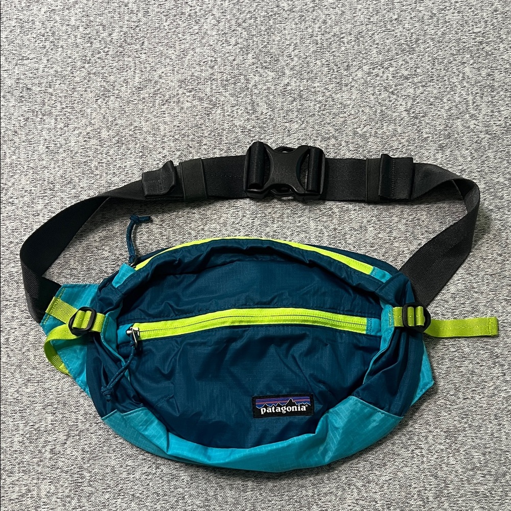 Patagonia Lightweight Travel Hip Pack